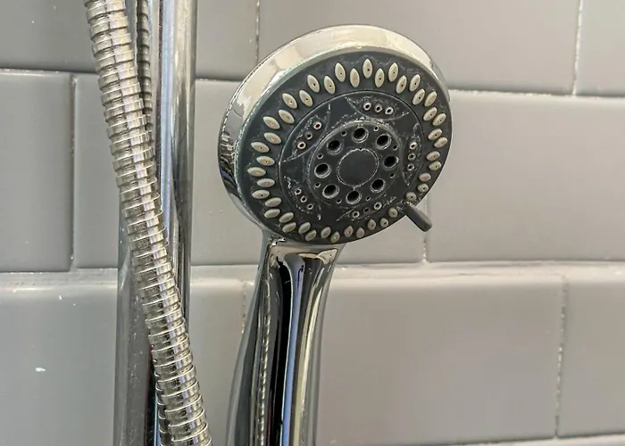 Serafini 2* רימיני